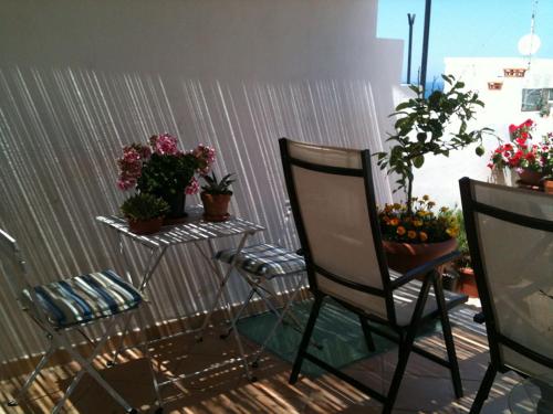 a room with two chairs and a table with potted plants at B&B Casa Dorsi in Polignano a Mare