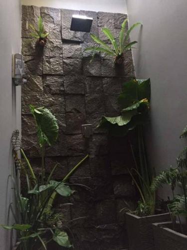 a stone wall with potted plants on it at M BOX Gili Trawangan in Gili Trawangan