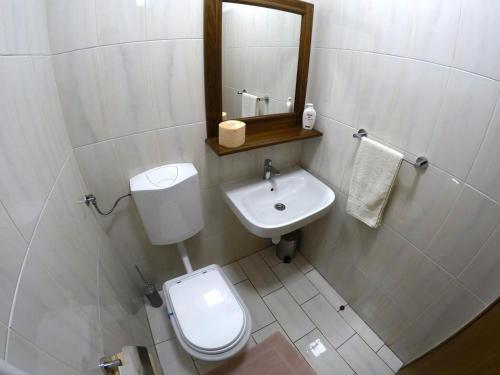 a bathroom with a toilet and a sink and a mirror at Apartmani Oletić 4* in Sveti Martin na Muri