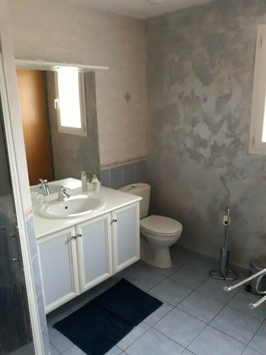 a bathroom with a sink and a toilet at LE CLOS CASTEL - Gîte équipé in Casteljaloux