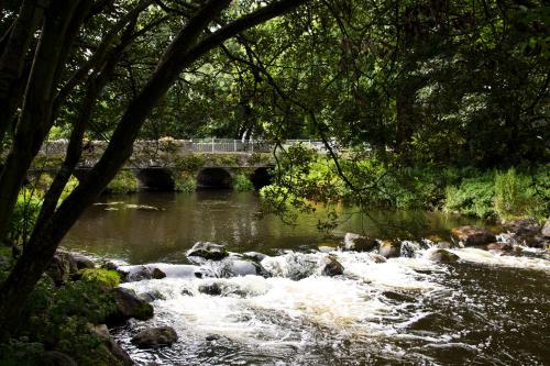 a bridge over a river with rapids and rocks at Gleneven Guest House in Inniskeen