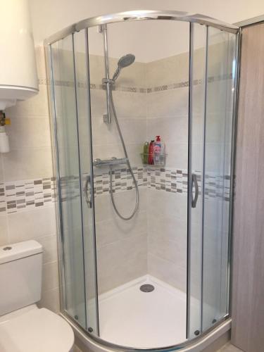 une cabine de douche dans une salle de bain avec toilettes dans l'établissement Les Meublés de Luchon - La Perle Bleue - Centre Luchon, Beau T2, 2 à 4 personnes, Wifi, à Luchon