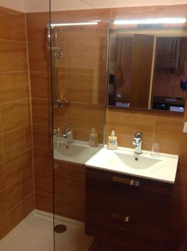 łazienka z umywalką i prysznicem w obiekcie Apartment Haus Föhrenwald w mieście Seefeld in Tirol