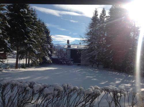 a snow covered yard with a house and trees at Apartment Haus Föhrenwald in Seefeld in Tirol