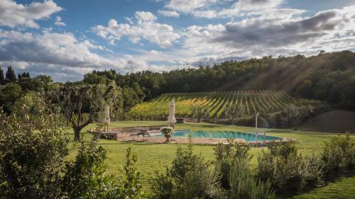 a garden with a swimming pool in a vineyard at Casanova di Neri Relais in Montalcino