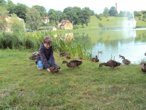 a little boy sitting on the grass feeding ducks at Saule in Talsi