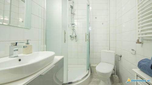 ジブヌベクにあるApartamenty Trioの白いバスルーム(洗面台、トイレ付)