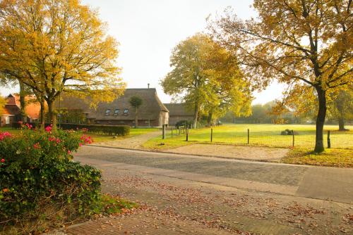 a road in a park with trees and a house at De Herberg van Anderen in Anderen
