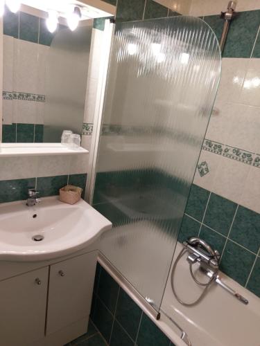 a bathroom with a shower and a sink at Logis de L'Europe Restaurant Le Cepage in Corbigny