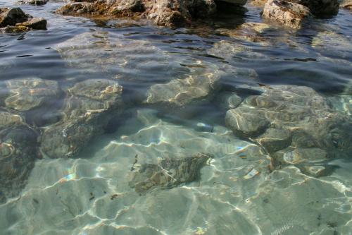 a body of water with rocks in the water at Vistamare in Alliste