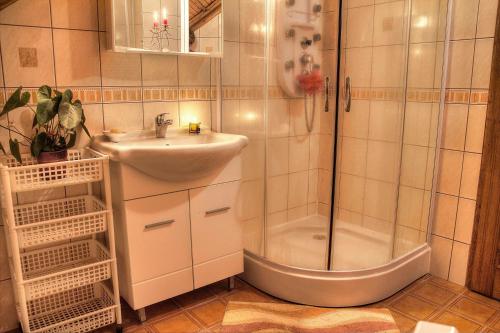 a bathroom with a sink and a shower at location Chambre Privée à La Ferme Maryla in Ratkovica