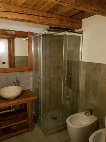 a bathroom with a glass shower and a sink at Il rifugio delle marmotte in Pré-Saint-Didier