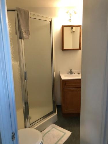 a bathroom with a shower and a toilet and a sink at Maple Hill Farm Bed & Breakfast in New London