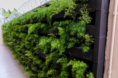 Ecotel – Photos 4