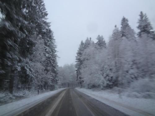 a snow covered road with trees on the side at An Hütten in Herresbach