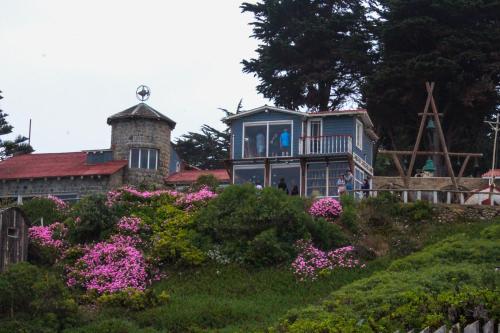 a house on top of a hill with pink flowers at Casas Isla Negra in El Quisco