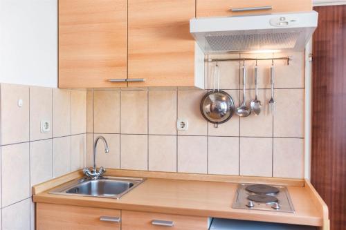 Kuchyň nebo kuchyňský kout v ubytování Apartments Zanze