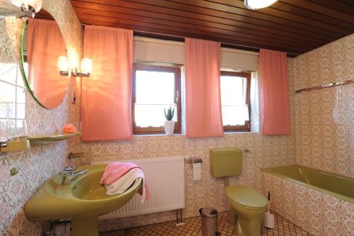 a bathroom with a sink and a toilet and a mirror at Ferienwohnung Zeck in Bad Staffelstein