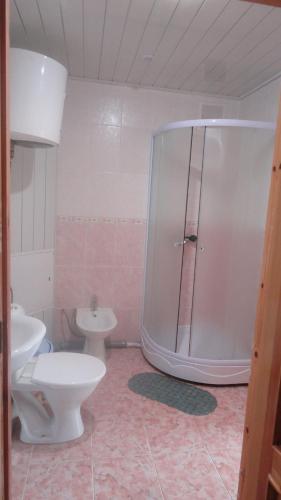 a bathroom with a shower and a toilet and a sink at Hotel Planeta in Pechory