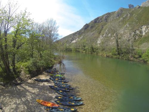 a row of kayaks lined up on the side of a river at Conjunto Hotelero La Pasera in Soto de Cangas