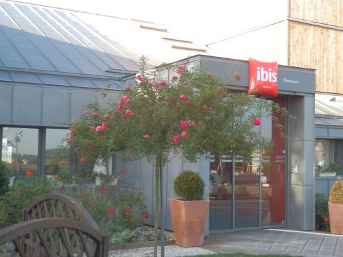 a store front with a tree with pink flowers at ibis Nemours in Nemours