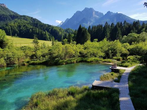 a bridge over a river with mountains in the background at Apartments Podkoren 82 in Kranjska Gora