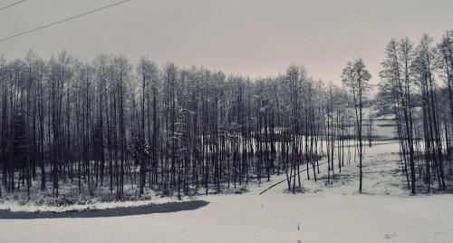 Sodybos kompleksas - ECO Resort Trakai semasa musim sejuk
