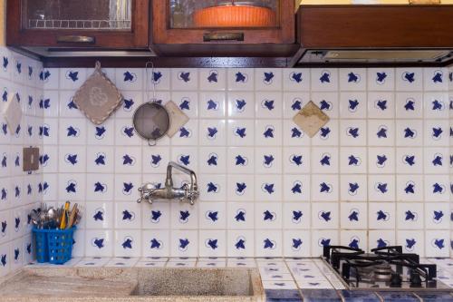 a kitchen with blue and white tiles on the wall at Montanari Agrivillage in Narni