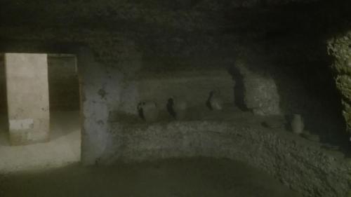 un grupo de pájaros sentados en una pared en una cueva en Affittacamere Corte Marchese, en Presicce