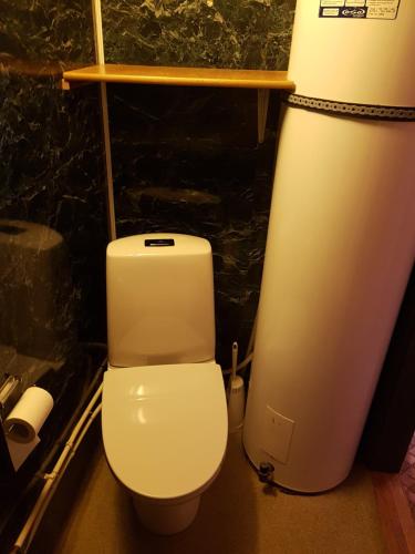 a bathroom with a white toilet in a room at Fjellbu Two-bedroom Cottage in Geilo