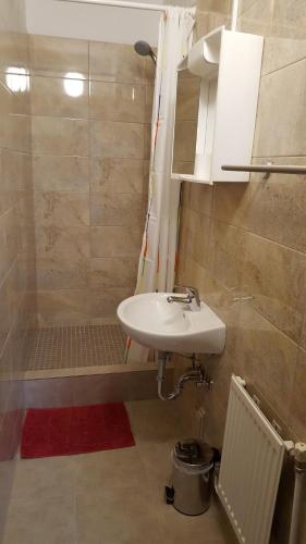 bagno con lavandino e doccia di Pension Haus Nova a Wiener Neustadt