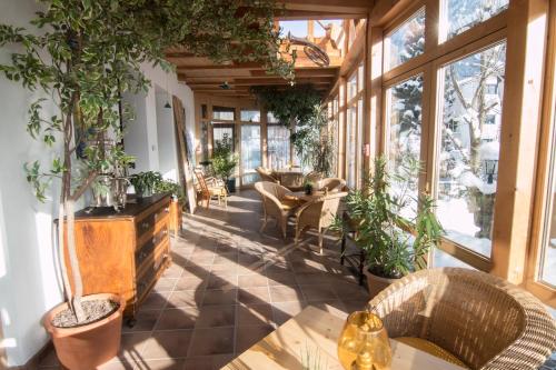 Mellow Mountain Hostel في ايروالد: حديقة شتوية بها نباتات وطاولات وكراسي