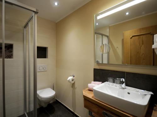 W łazience znajduje się umywalka, toaleta i lustro. w obiekcie Gasthof Thanner w mieście Brandberg