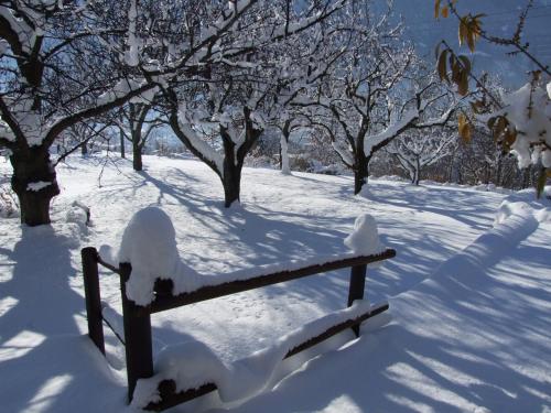a bench covered in snow in a park with trees at Le Rocher in Châtillon