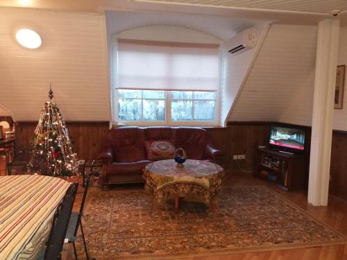a living room with a couch and a christmas tree at Sunrise majutus in Pärnu