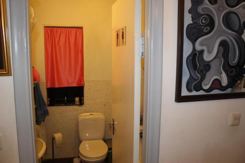 a bathroom with a toilet and a red curtain at Brimarsbrú sleep inn-art Gallery in Njarðvík