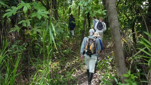 people walking on a trail in the jungle at Amazon Muyuna Lodge - All Inclusive in Paraíso