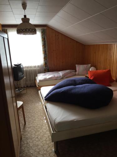 Cama o camas de una habitación en Hotel Hulfteggpass