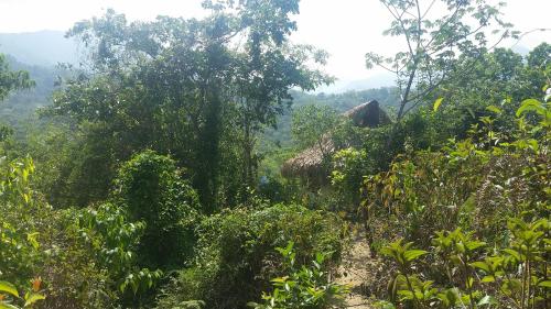 Gallery image of Minca Glamping in Minca