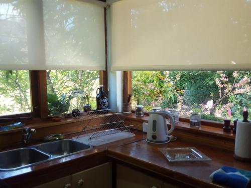 uma cozinha com um lavatório e duas janelas em Cabaña Modern Family em Villa La Angostura