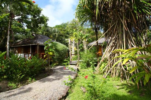 a path leading to a house in a garden at Acajou Hotel in Grande Riviere