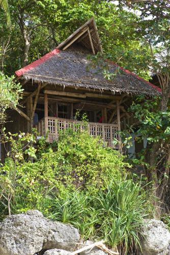 Κήπος έξω από το Kookoo's nest eco-lodge
