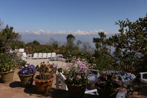 a group of potted plants on a patio with mountains in the background at The Fort Resort in Nagarkot