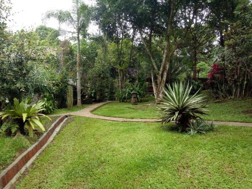 a path through a garden with trees and grass at Mi Casa - The gem of Ijen in Banyuwangi