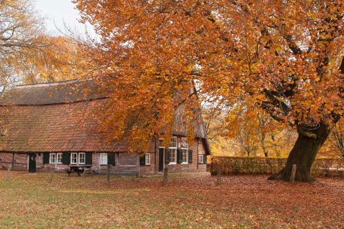 a building with a tree in front of it at Bed & breakfast Hoeve Springendal in Hezingen