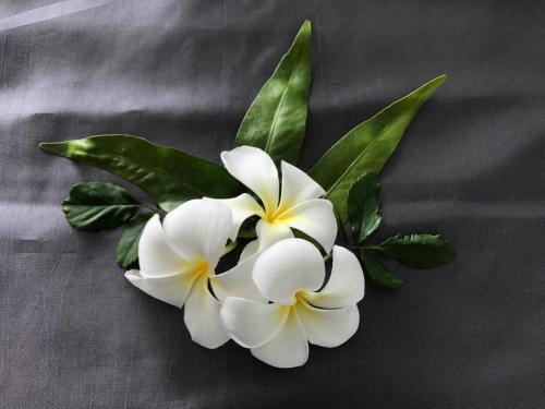 a bunch of white flowers with green leaves at Aonang Sea Valley Resort in Ao Nang Beach
