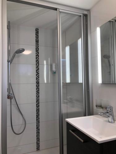 a bathroom with a shower and a sink at Gästehaus Alwin Diebold - 5 Gehminuten zum Europapark in Rust