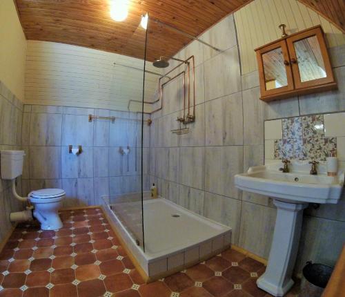 a bathroom with a toilet and a sink and a shower at A Pilgrims Rest in Graskop