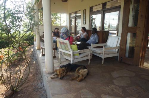 a group of people sitting around a porch with a dog at Masaka Backpackers, Tourists Cottage & Campsite in Masaka