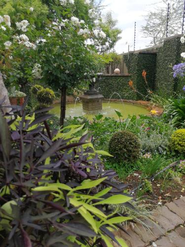 Giardino di At 98 on Lynburn Guest House